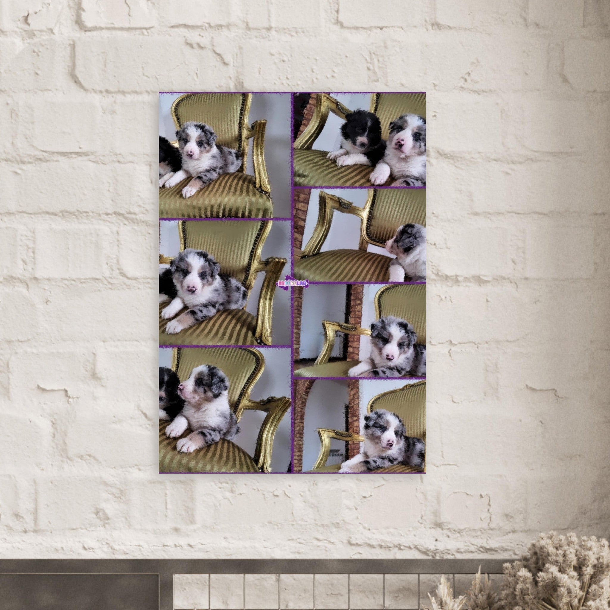 b6724978-779a-4540-953c-cafa7a7a9fdb