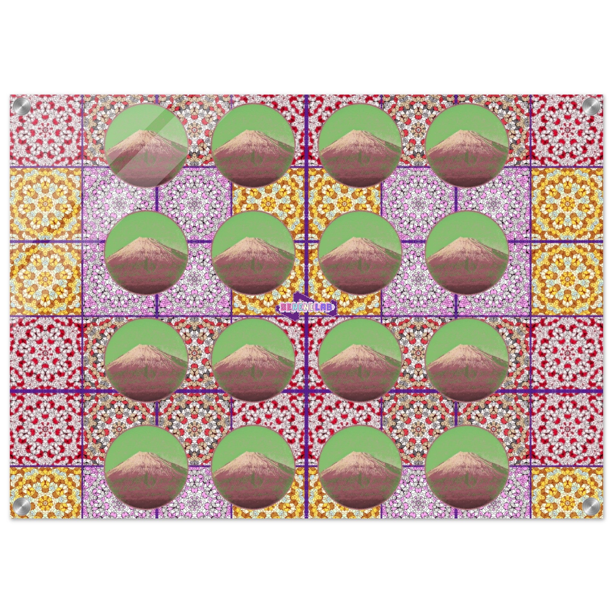 ba529f01-d12c-4618-969c-f69ed7f00906