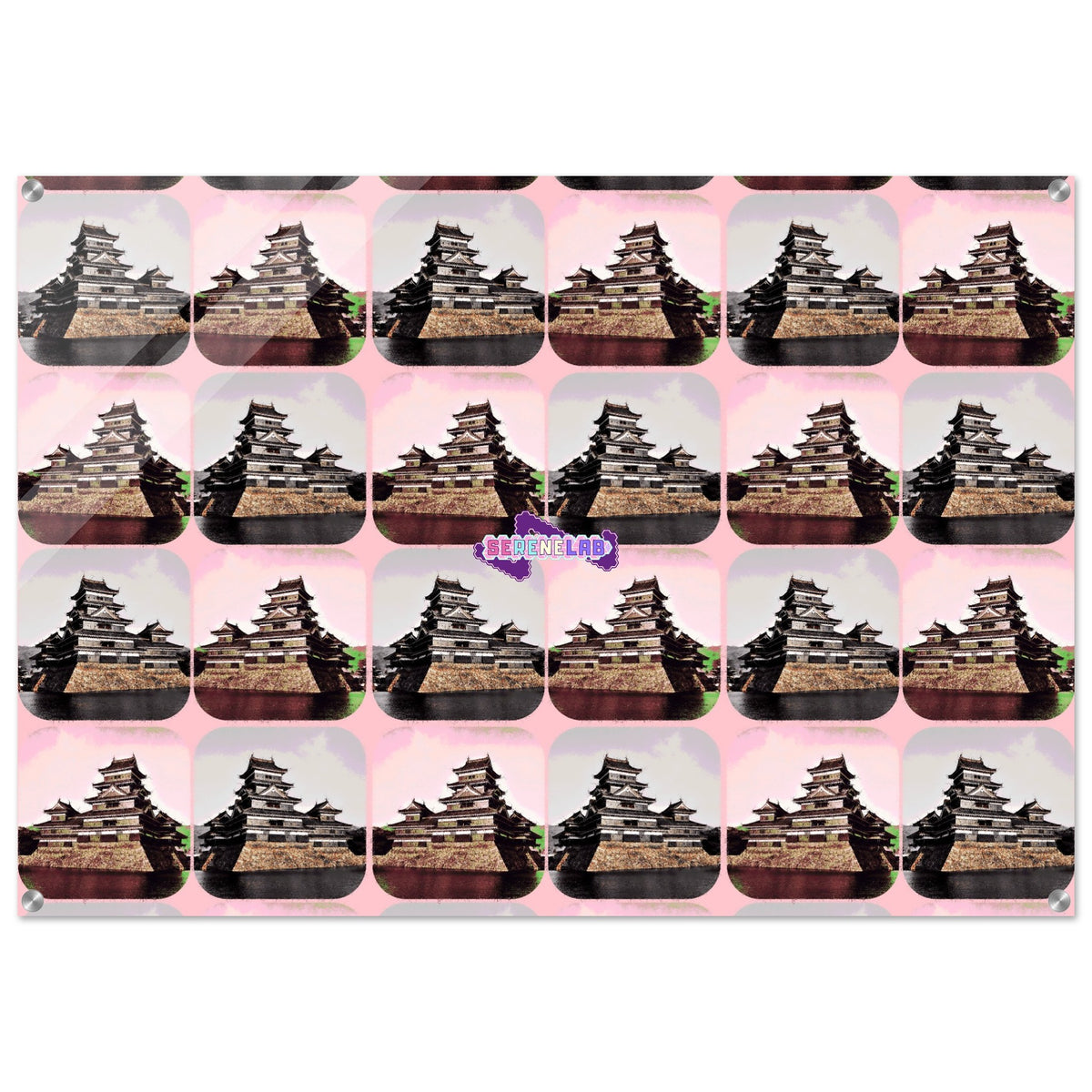 c07ce8ad-c884-466b-a5a3-9fe6c508450a