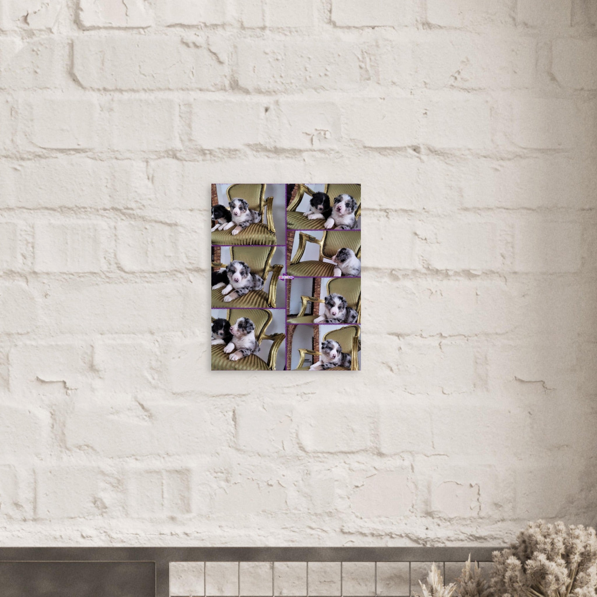 c35469b7-3c20-41f9-8fe0-096de46d2299