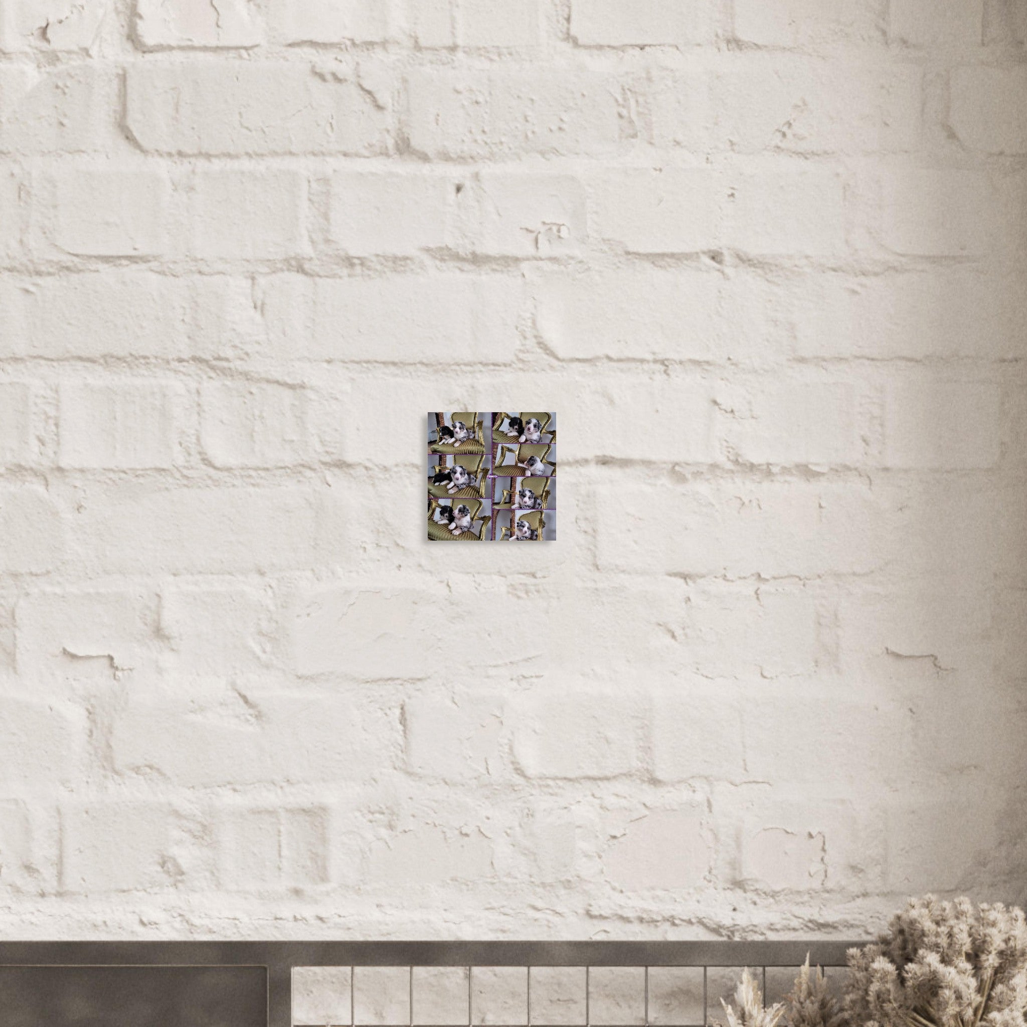 c8f5d332-cd2e-41b7-9ef3-1fd6a75e9888