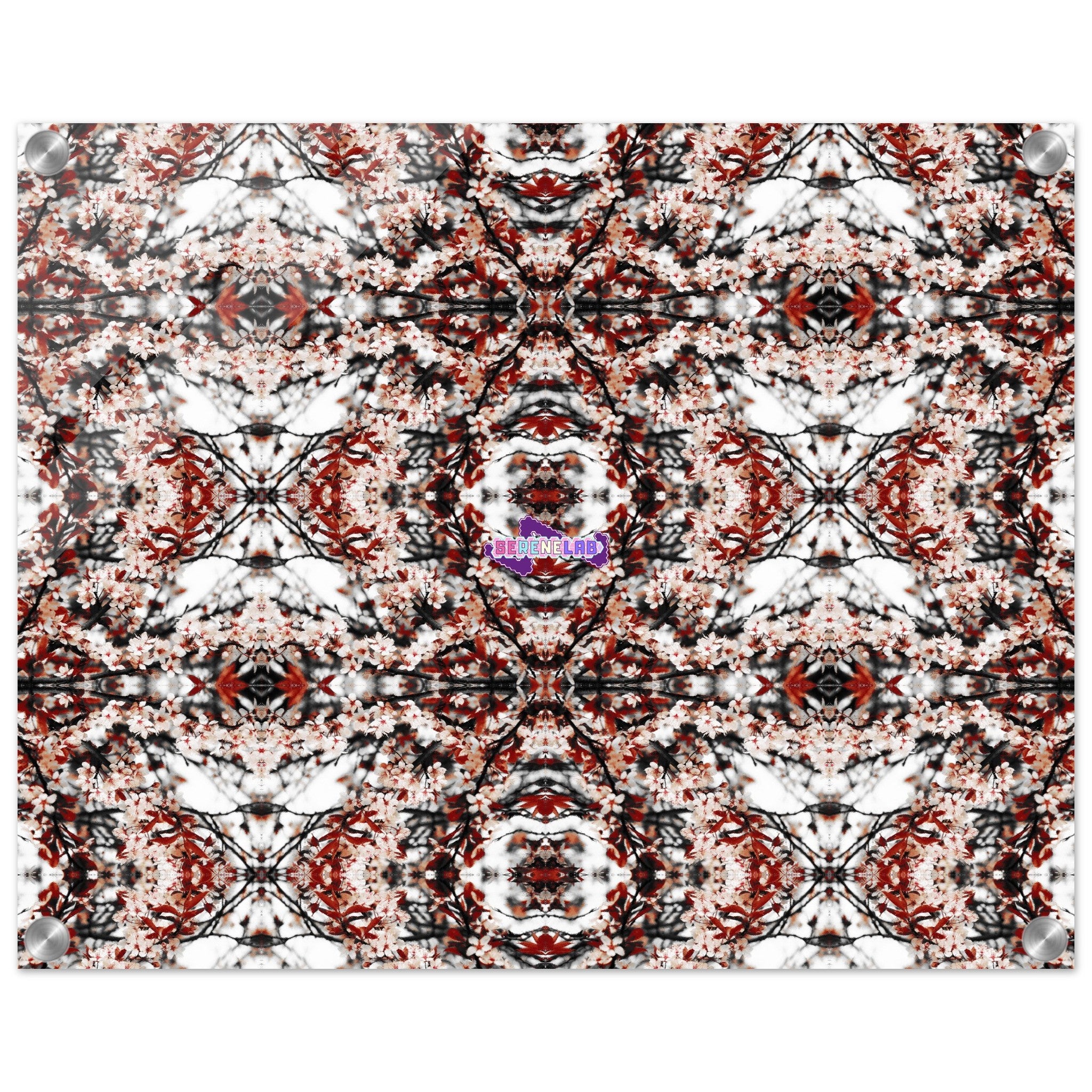 cadf18e5-7b54-445b-a9d7-5517fe0211f9