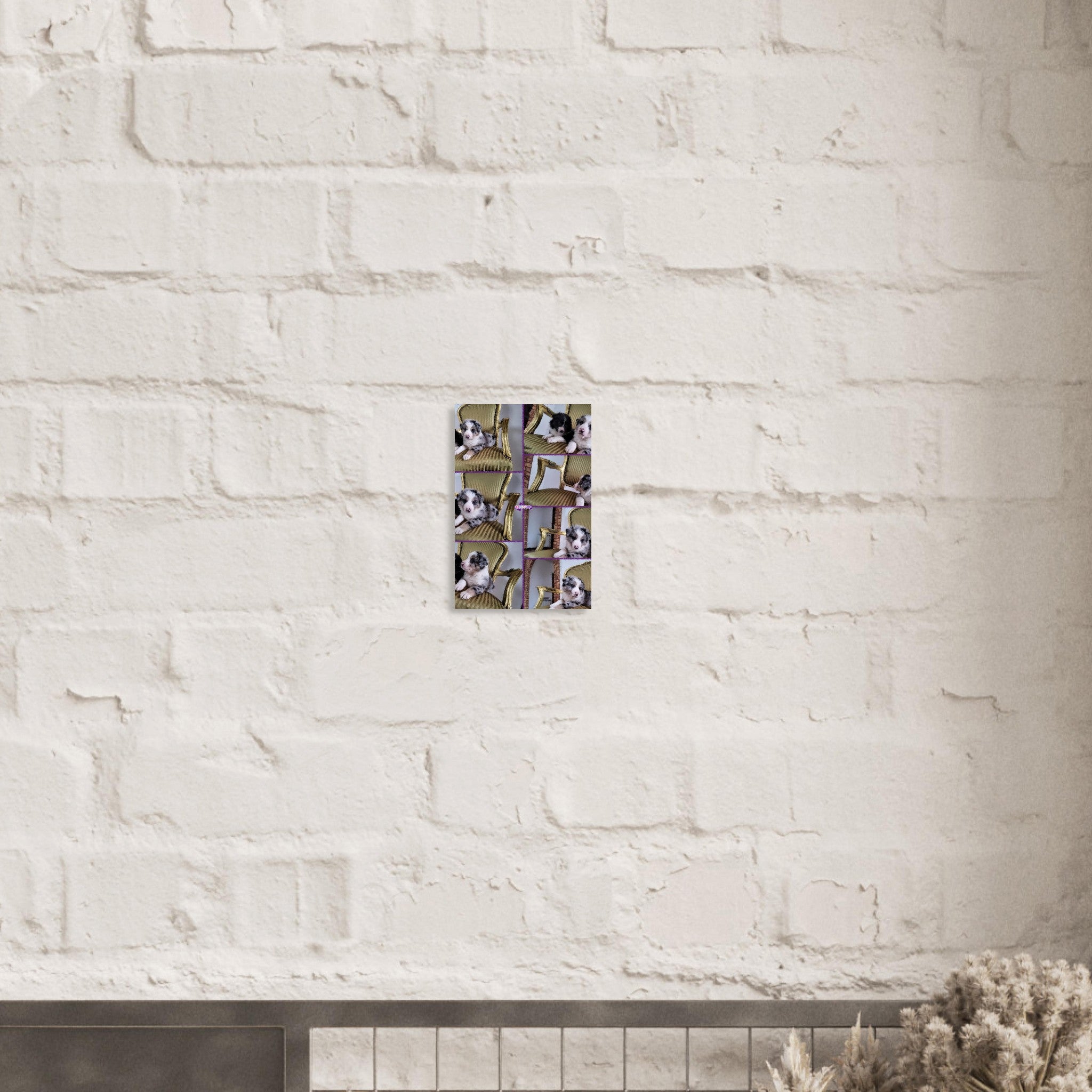 cce05ce2-944d-414b-92df-1428fd5ac421