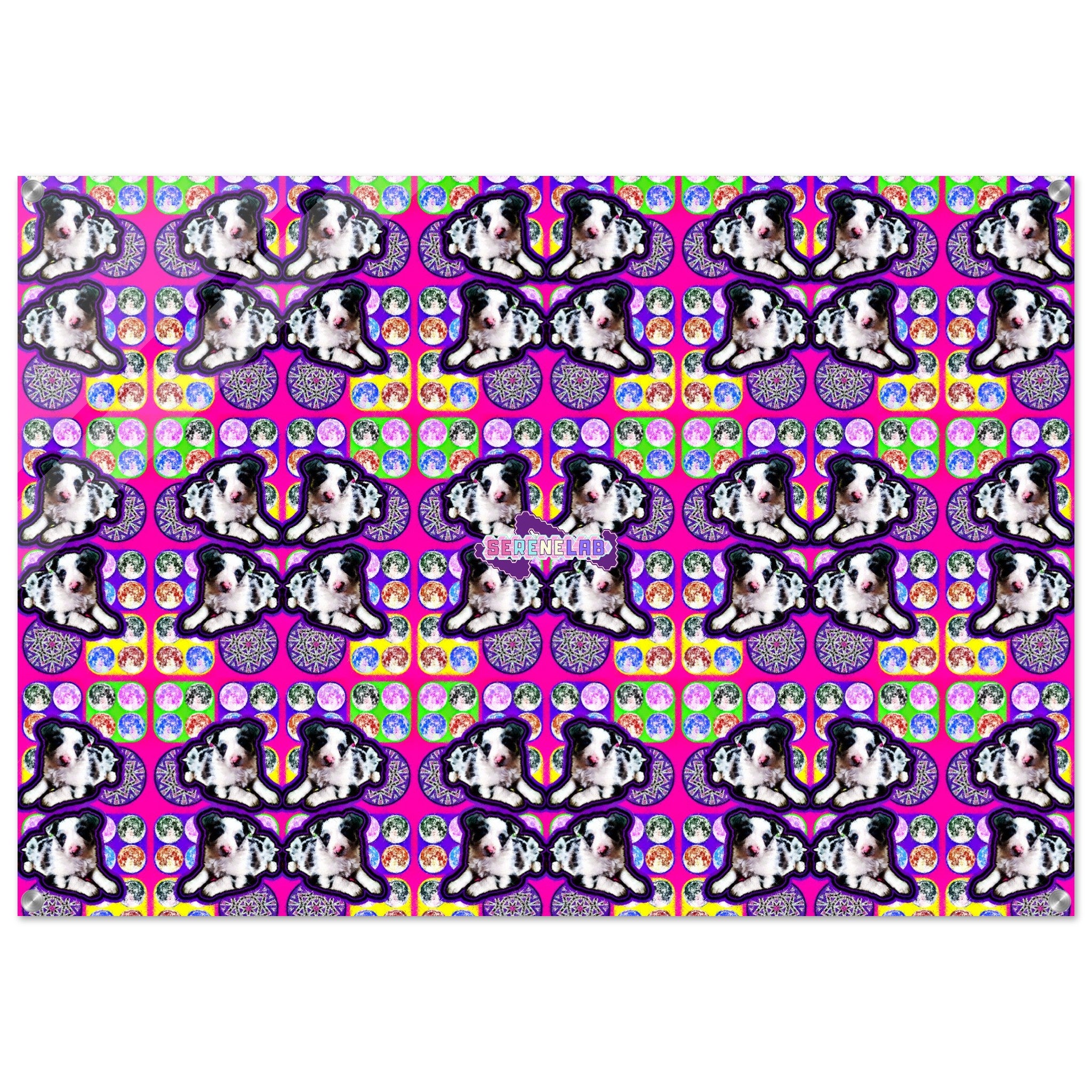 cd75c713-4a73-4752-bfcd-51748d1b4cef