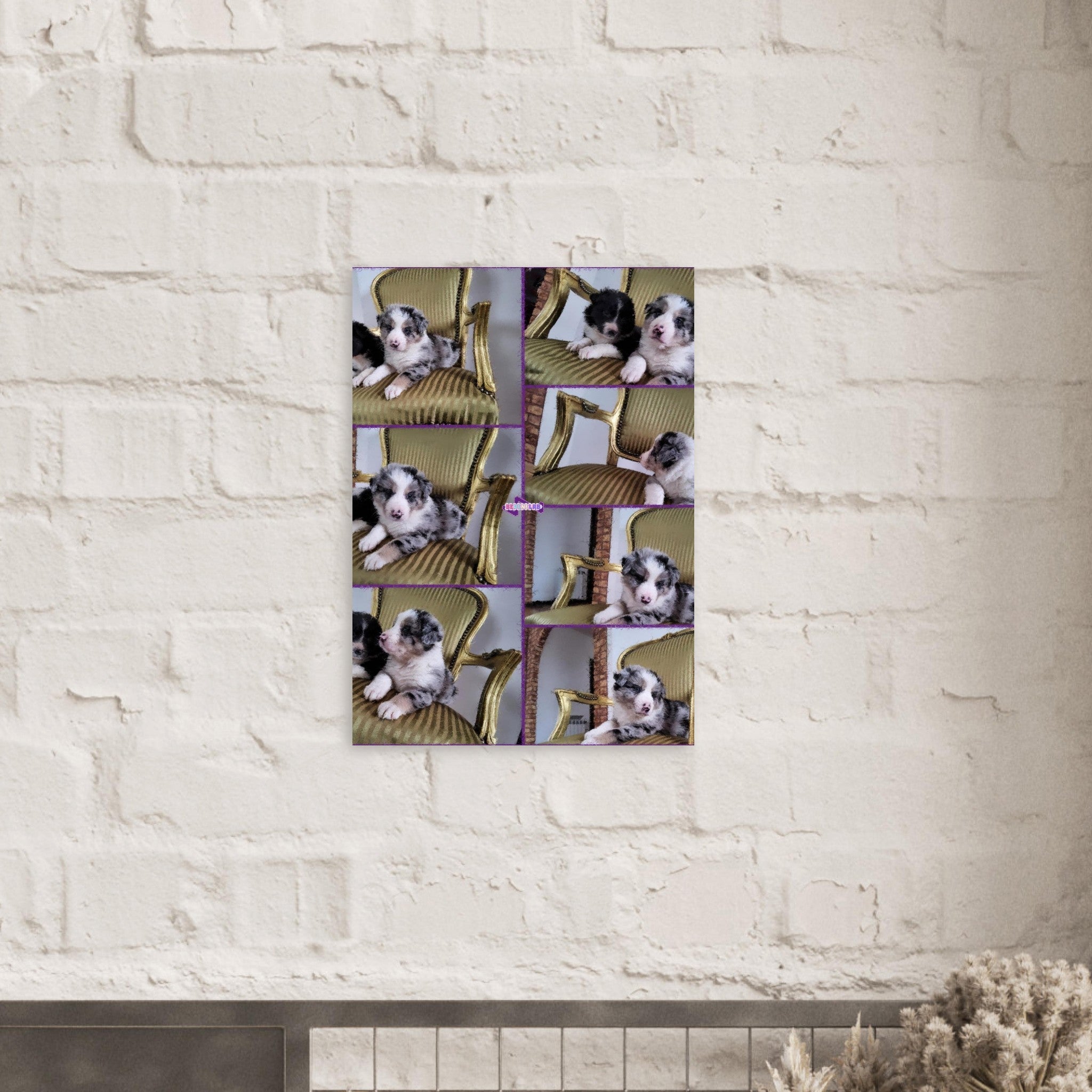 eb5a9889-4d4c-4572-9442-59af89ce6c00