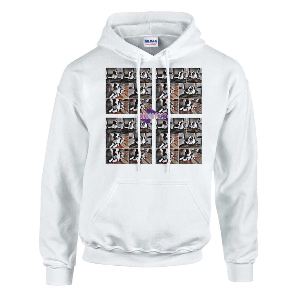 fd42f709-6f43-454d-8572-8704b98d1865